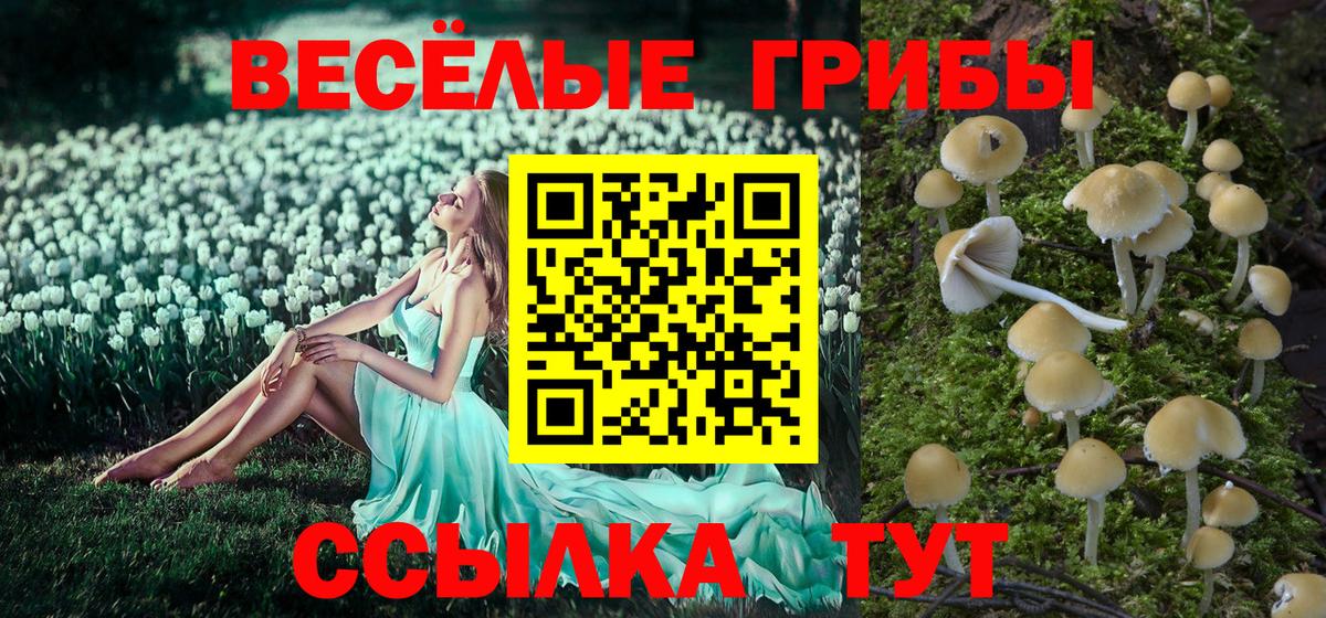 Галлюциногенные грибы прущие грибы Волжский